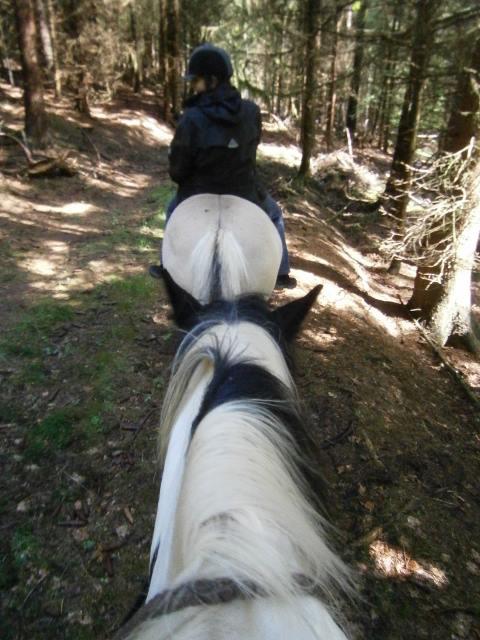 Op ruitervakantie in het mooie Sauerland? 